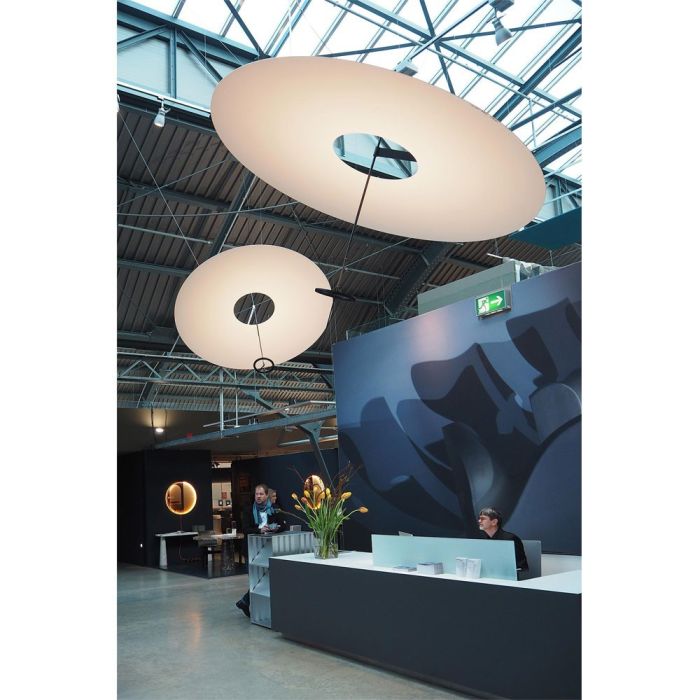 Flying Disc