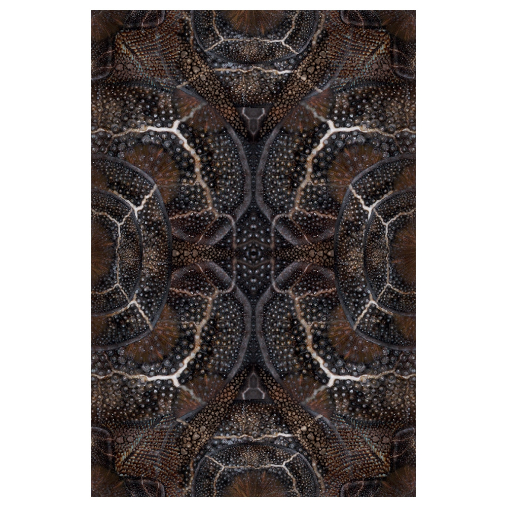Moooi Carpets - Teppich Blooming Seadragon
