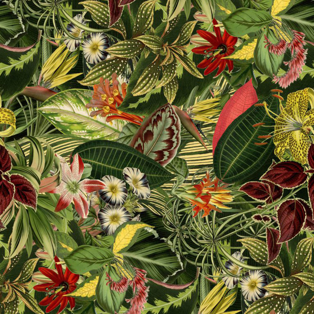 Moooi Carpets Herbarium of Extinct Plants Broadloom