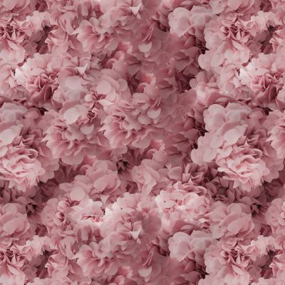 Moooi Carpets - Hortensia Broadloom - Farbe pink