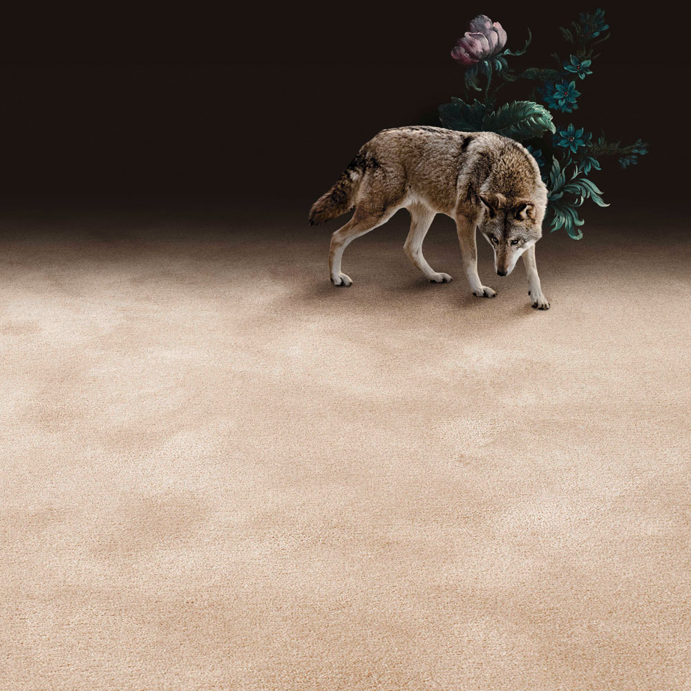 Object Carpet Teppichboden Pure Wool 2600 - Farbe 2601 eggshell