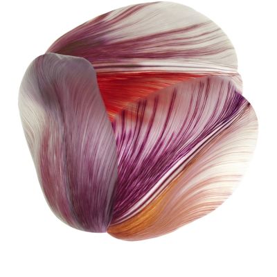 Moooi Carpets Tulip Mania Red Shell, Ø 250 cm